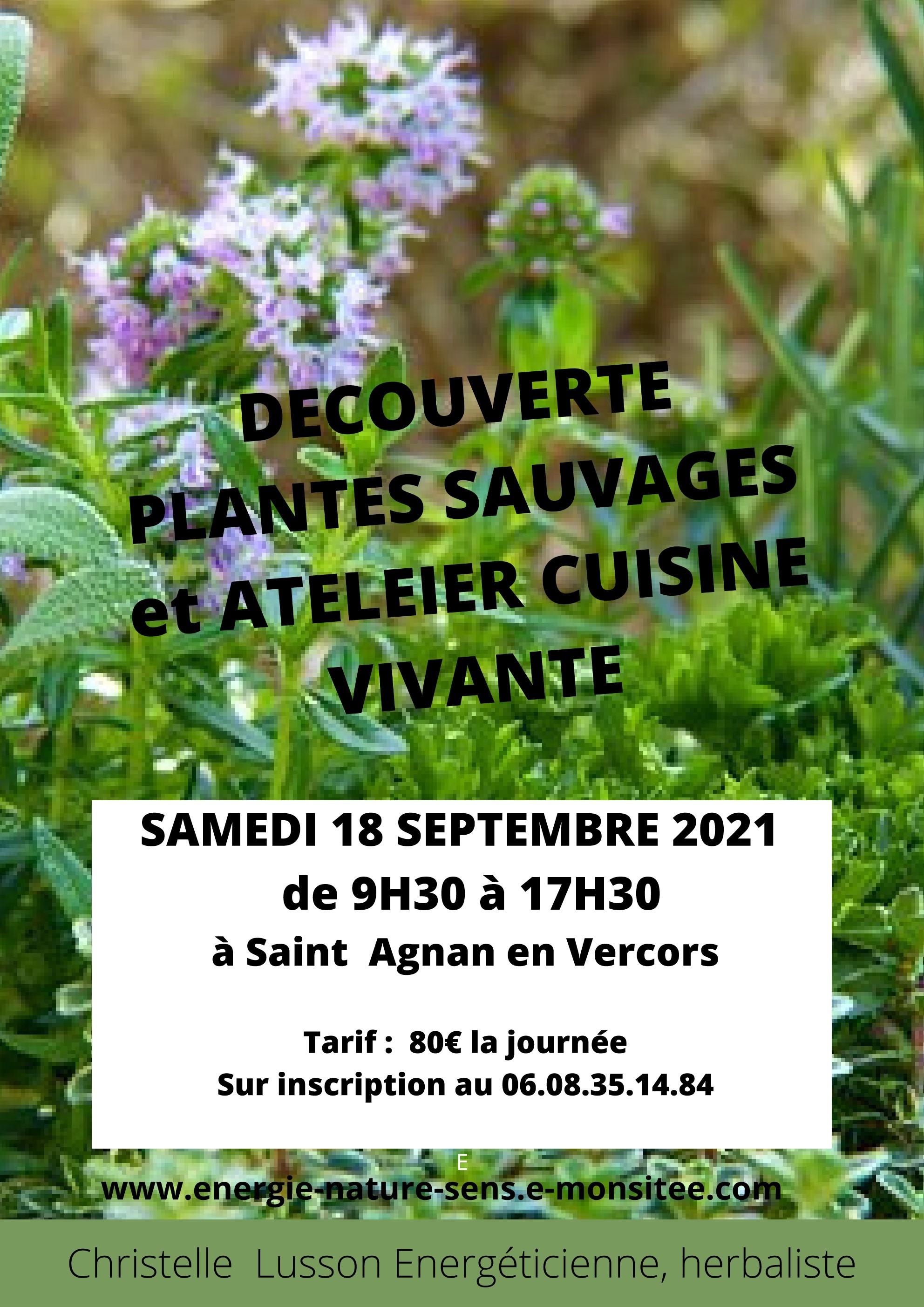 Decouverte plantes sauvages et atelier cuisine vivante samedi 18 sept 2021 1