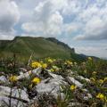Vue sur le Roc de Toulau (1581m) près du Col de la Bataille - Drôme