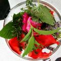 Mélange de plantes du jardin pour infusion