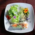 Création d'assiette végétale