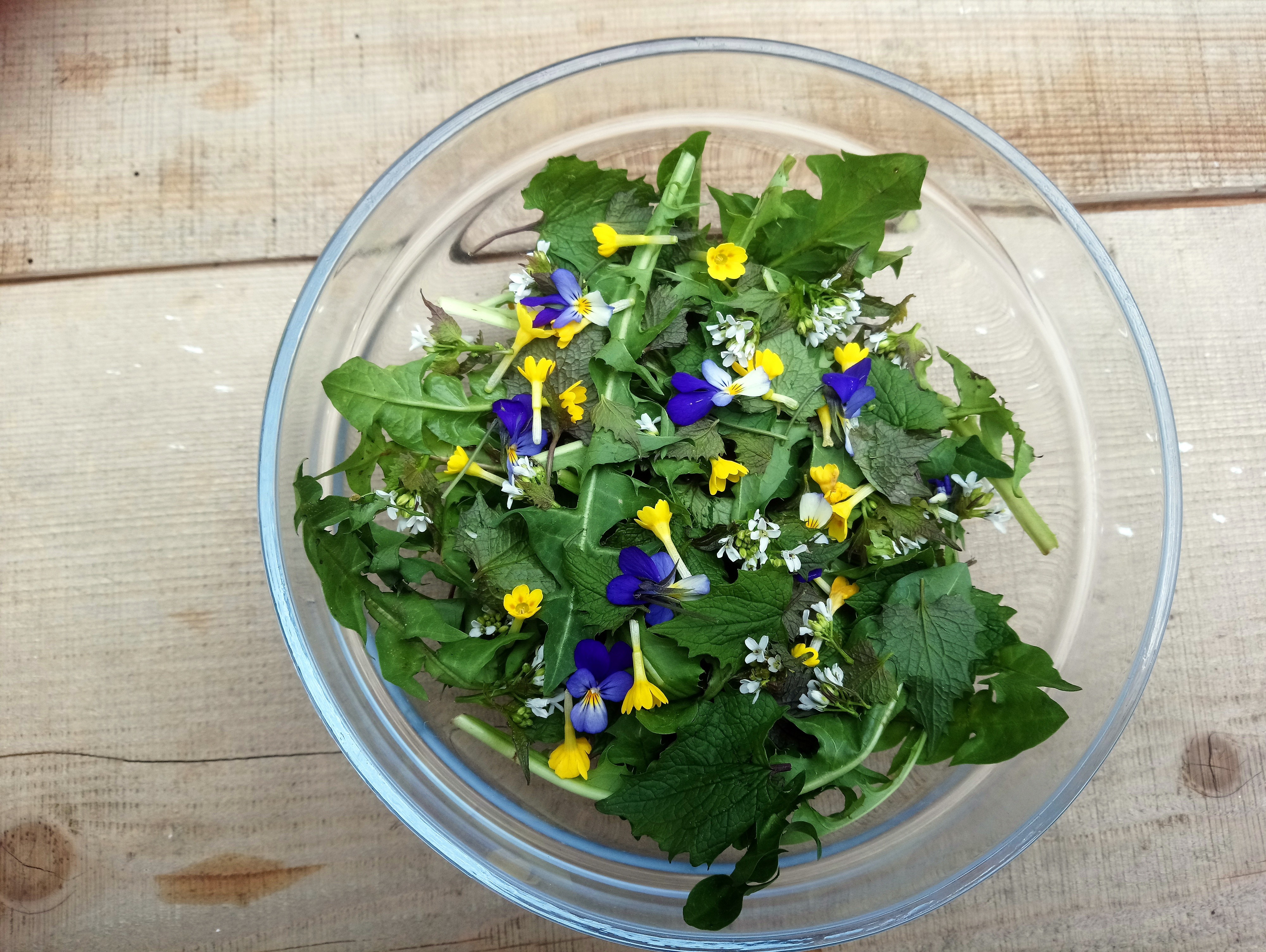 Salade de plantes sauvages