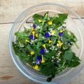Salade de plantes sauvages