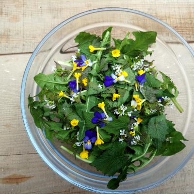 Alimentation vivante